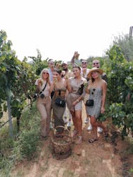 Урожай винограда в био Фаттория Augustali